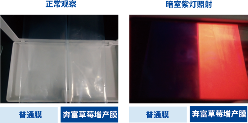 未标题-3