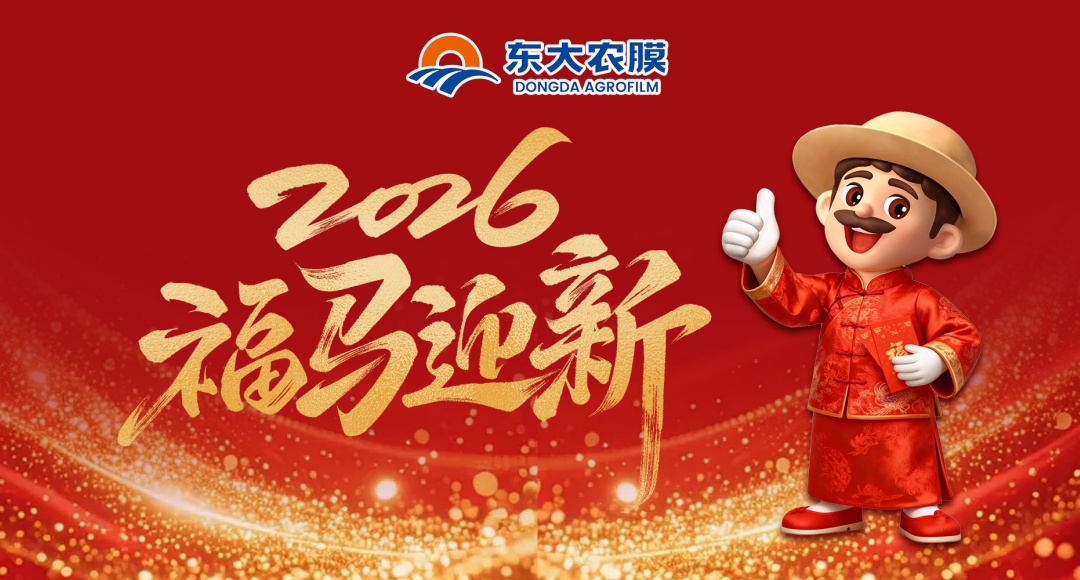春节 | 新年启封 万事常顺