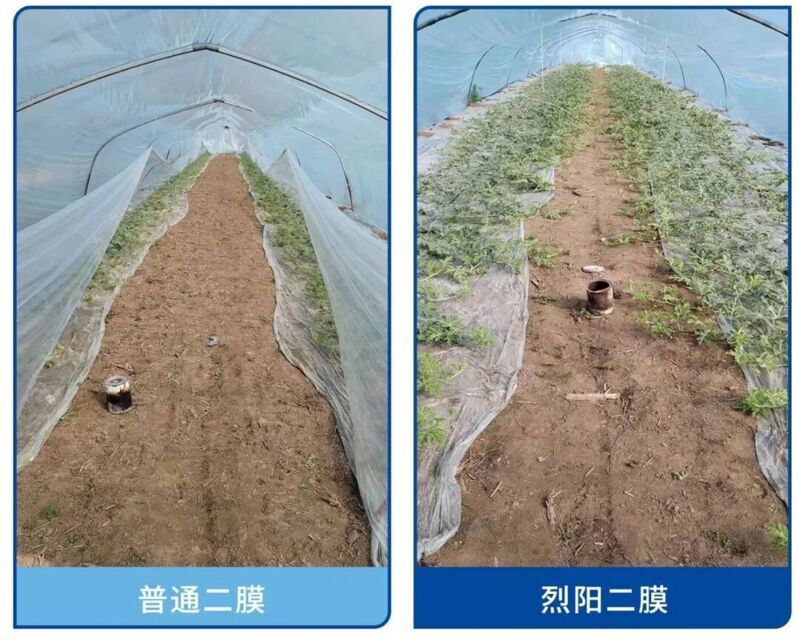 a45b6fb465405cb4ca68a47ec72b1481